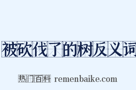 被砍伐了的树反义词是什么意思的图片